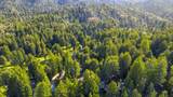 278 Hill Top Ct - Photo 56