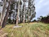 422 The Alameda - Photo 9