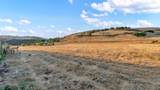 21951 Shillingsburg - Photo 9