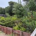 34 Cottage Ln - Photo 29