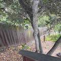 34 Cottage Ln - Photo 31