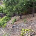34 Cottage Ln - Photo 32