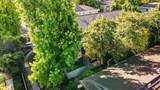 905 Apricot Ave G - Photo 37
