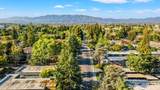 905 Apricot Ave G - Photo 40