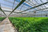 23820 Potter Rd - Photo 13