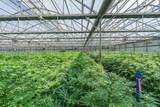 23820 Potter Rd - Photo 8