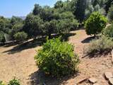 19085 Marjorie Rd - Photo 33