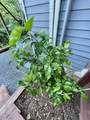 89 Frustuck Ave - Photo 23