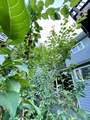 89 Frustuck Ave - Photo 24
