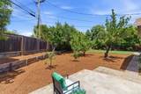 831 Mangrove Ave - Photo 34