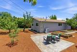 831 Mangrove Ave - Photo 35