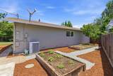 831 Mangrove Ave - Photo 36