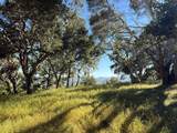6 Rancho San Carlos (Lot E10) Rd - Photo 15