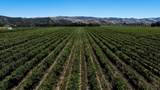 24.5 Acres Cienega Rd - Photo 10