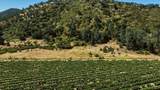 24.5 Acres Cienega Rd - Photo 12