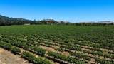 24.5 Acres Cienega Rd - Photo 13