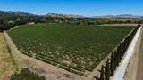 24.5 Acres Cienega Rd - Photo 14