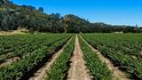 24.5 Acres Cienega Rd - Photo 15