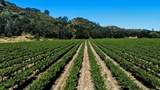 24.5 Acres Cienega Rd - Photo 16