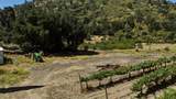 24.5 Acres Cienega Rd - Photo 17