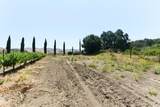24.5 Acres Cienega Rd - Photo 20