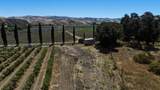 24.5 Acres Cienega Rd - Photo 21