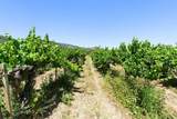 24.5 Acres Cienega Rd - Photo 27