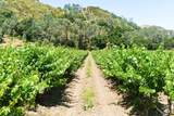 24.5 Acres Cienega Rd - Photo 28