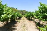 24.5 Acres Cienega Rd - Photo 29