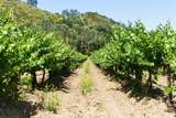24.5 Acres Cienega Rd - Photo 30