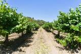 24.5 Acres Cienega Rd - Photo 31