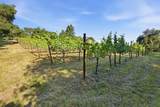 0 Miller Hill Rd - Photo 12