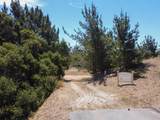 8741 Eagles Roost Rd - Photo 2