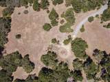 8741 Eagles Roost Rd - Photo 6