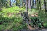 154 Leafwood Dr - Photo 4