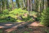 154 Leafwood Dr - Photo 8