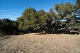17114 Cachagua Rd - Photo 18