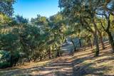 17114 Cachagua Rd - Photo 29