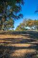 17114 Cachagua Rd - Photo 30