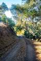 17114 Cachagua Rd - Photo 9