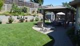 1121 Cypress St - Photo 7