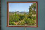 15269 Century Oak Rd - Photo 10