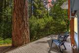 4 Glen Alpine Ave - Photo 54