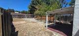 393 Beemer Ave - Photo 15