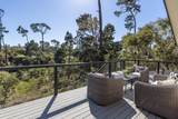 1158 Chaparral Rd - Photo 12