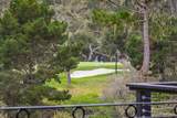 1158 Chaparral Rd - Photo 21