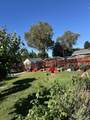 17387 Walnut Grove Dr - Photo 30