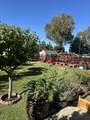 17387 Walnut Grove Dr - Photo 34