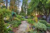 11077 Squirrel Creek Rd - Photo 3