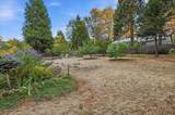 11077 Squirrel Creek Rd - Photo 31